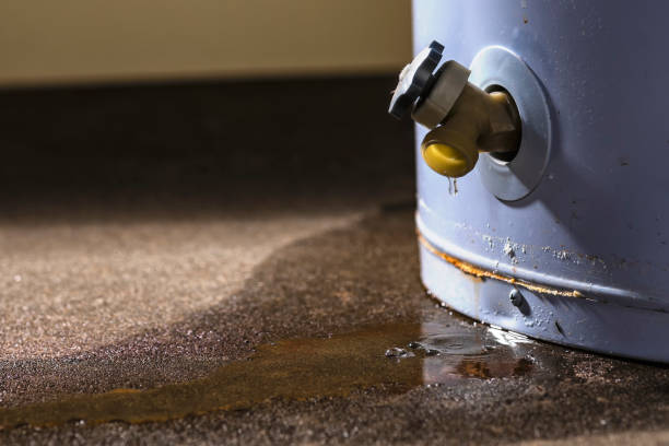 Best Water damage contractors near me  in Loch Lomond, VA