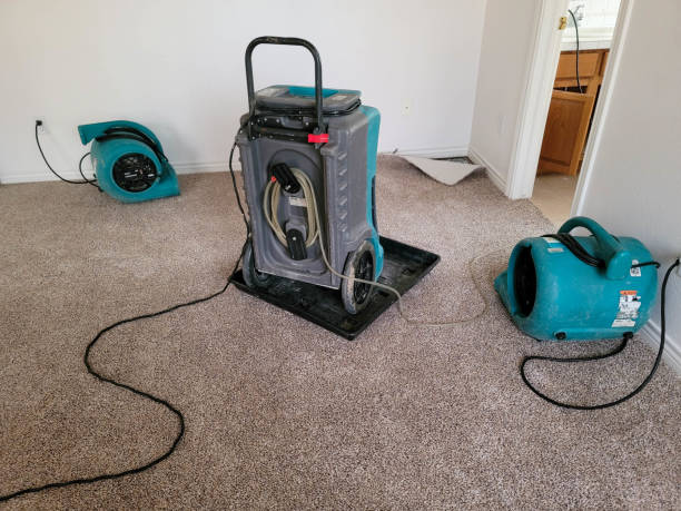 Best Mold removal after water damage  in Loch Lomond, VA