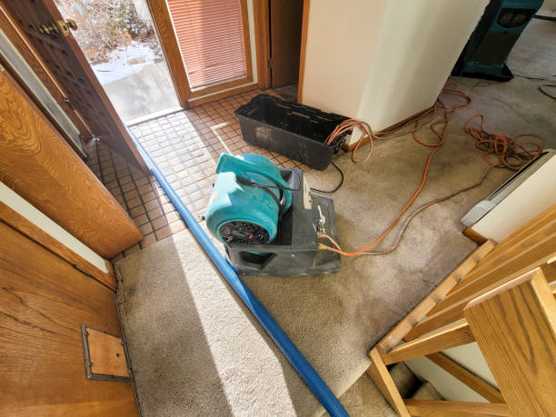 Best Water damage restoration experts  in Loch Lomond, VA