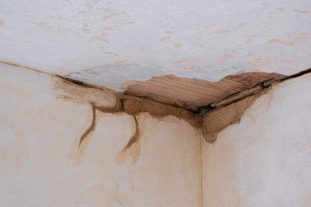 Best Water damage restoration experts  in Loch Lomond, VA