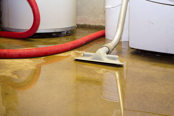 Best Ceiling water damage repair  in Loch Lomond, VA