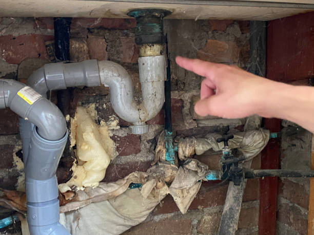 Best Sewage cleanup and water damage restoration  in Loch Lomond, VA