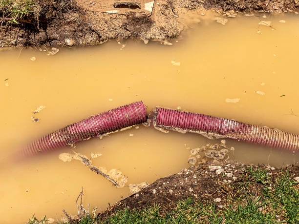 Best Commercial water damage restoration  in Loch Lomond, VA